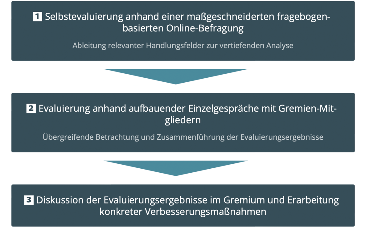uebersichtsgrafik_selbstaevaluierung2